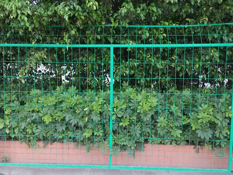 扁鐵護（hù）欄